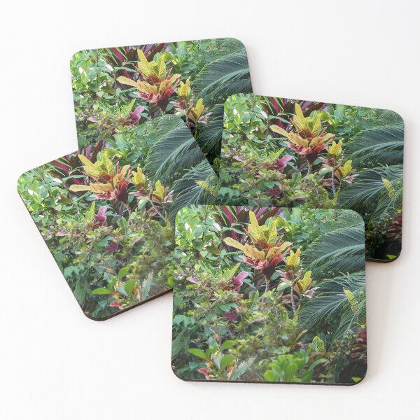 Item preview, Growing Wild designed and sold by heatherfriedman.