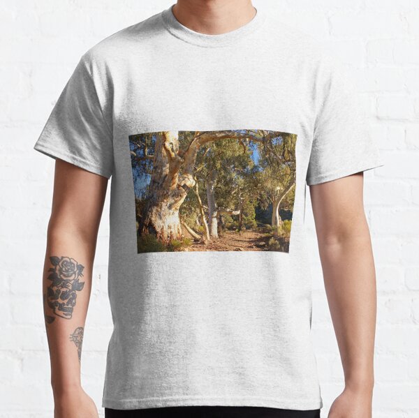 Dry creek bed and gums Classic T-Shirt