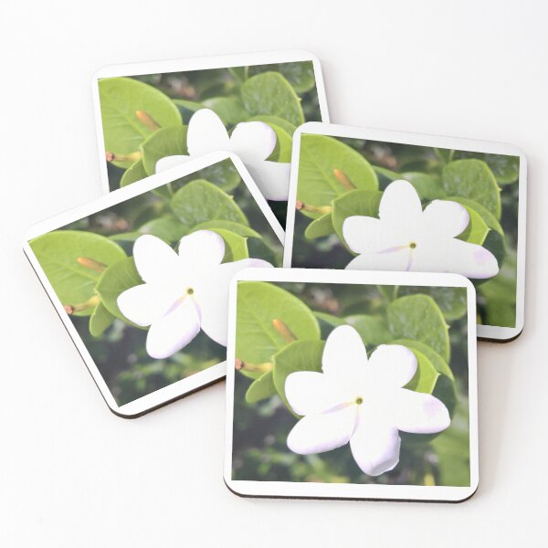 Item preview, Aloha Collection designed and sold by Naturallyzen.