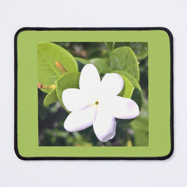 Item preview, Aloha Collection designed and sold by Naturallyzen.