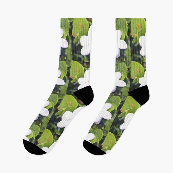 Item preview, Aloha Collection designed and sold by Naturallyzen.