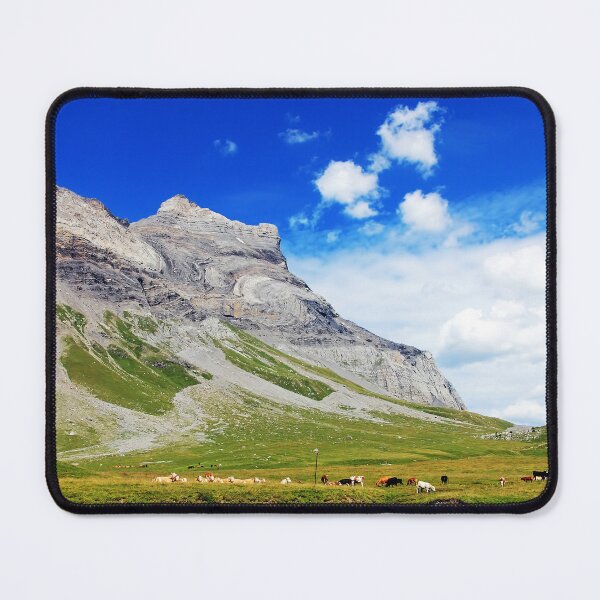 Item preview, High Alpine meadows with grazing cows against the backdrop of mountains. designed and sold by IaroslavB.