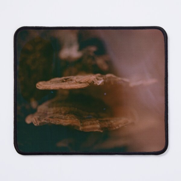 Artikelvorschau, Pilzsuppe 2 entworfen und verkauft von Phil Bothwell Photography.