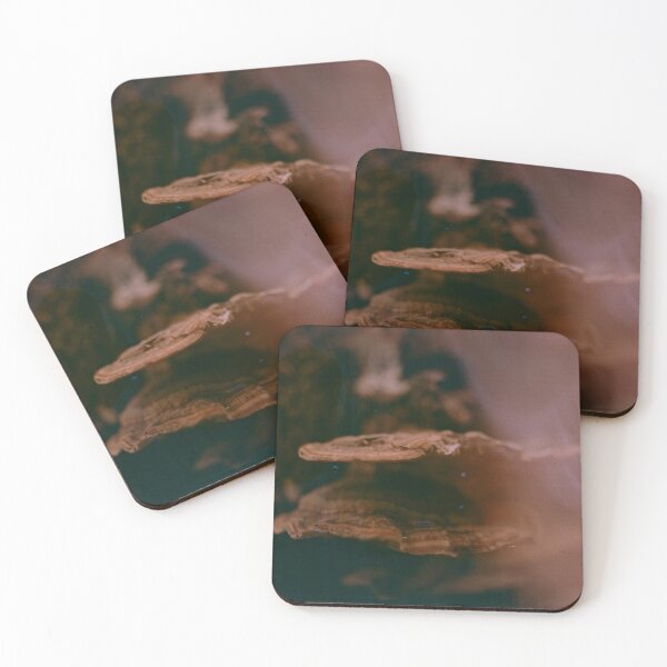 Item preview, Mushroom Soup 2 designed and sold by Phil Bothwell Photography.