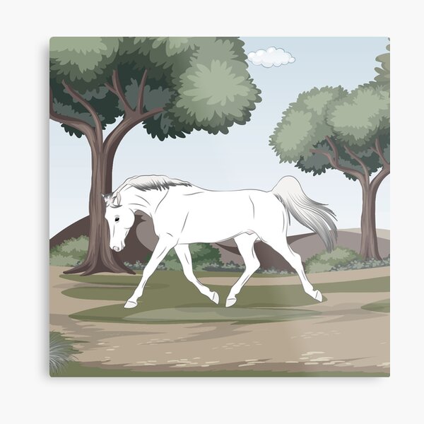 Aperçu de l'œuvre Cheval Arabe Shagya, cheval gris sur un fond de paysage, cheval oriental, races de chevaux de la Hongrie créée et vendue par WebEquitation®.