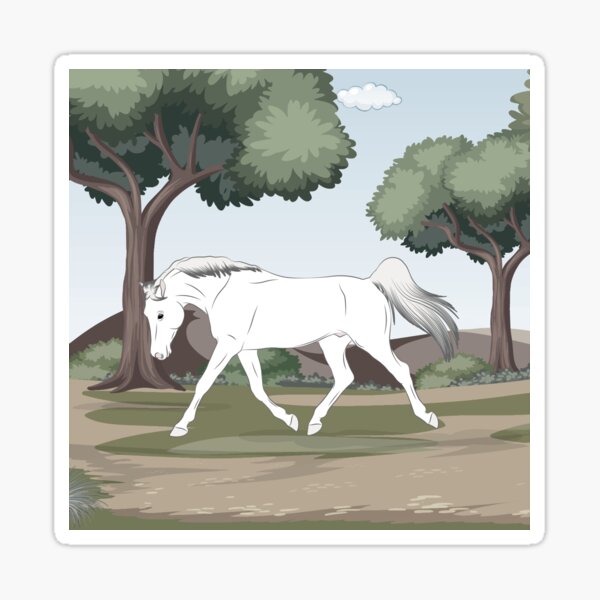 Aperçu de l'œuvre Cheval Arabe Shagya, cheval gris sur un fond de paysage, cheval oriental, races de chevaux de la Hongrie créée et vendue par WebEquitation®.