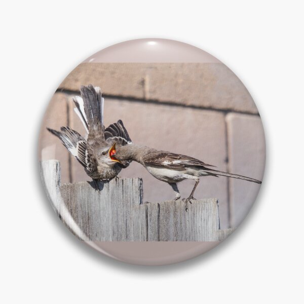 Item preview, Mama Mockingbird Feeds Fledgling designed and sold by CarolM.