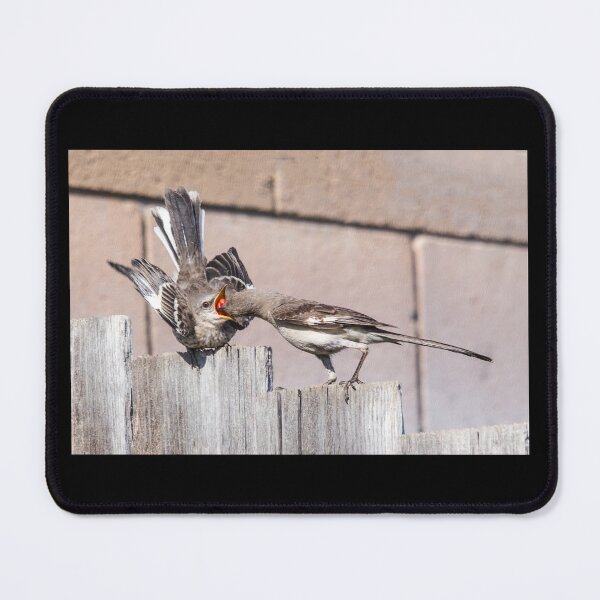 Item preview, Mama Mockingbird Feeds Fledgling designed and sold by CarolM.