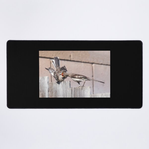 Item preview, Mama Mockingbird Feeds Fledgling designed and sold by CarolM.