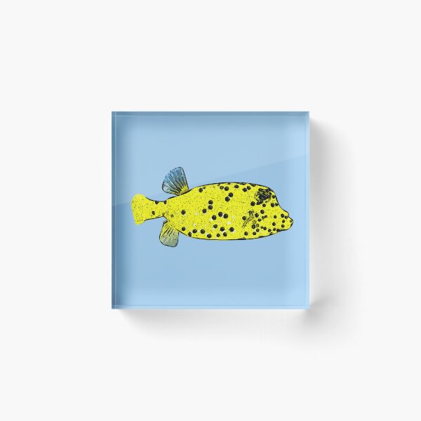 Item preview, Juvenile Spotted Boxfish Black Alternate Design  designed and sold by designsasstultd.