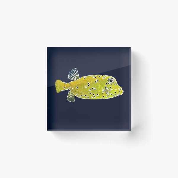 Item preview, Juvenile Spotted Boxfish White Alternate Design  designed and sold by designsasstultd.