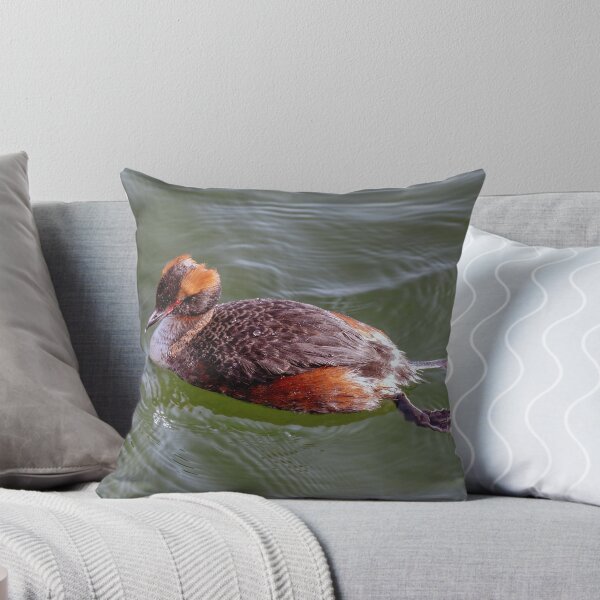 Item preview, The rare Slavonian grebe designed and sold by Tom McPherson Photography.