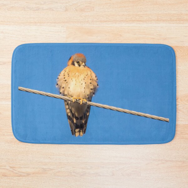 Item preview, American Kestrel Basking in the Sun designed and sold by CarolM.