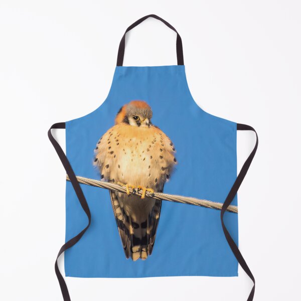 Item preview, American Kestrel Basking in the Sun designed and sold by CarolM.