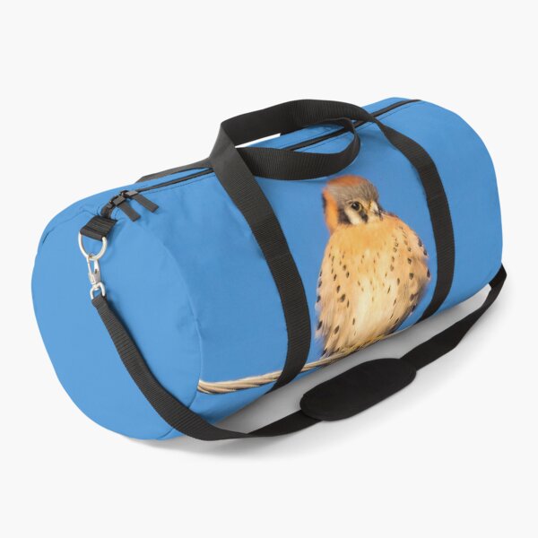 Item preview, American Kestrel Basking in the Sun designed and sold by CarolM.