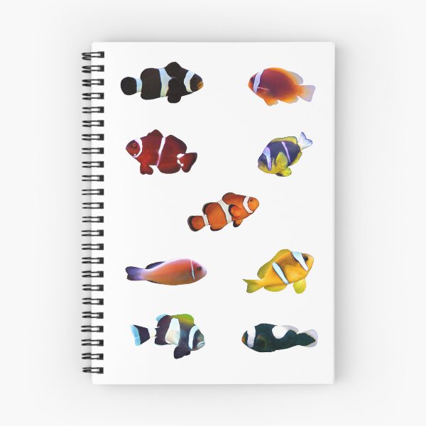 Item preview, Anemone Fish designed and sold by Marine Wonders.