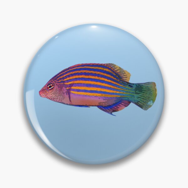 Item preview, Six-Line Wrasse Color Design  designed and sold by designsasstultd.
