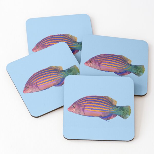Item preview, Six-Line Wrasse Color Design  designed and sold by designsasstultd.