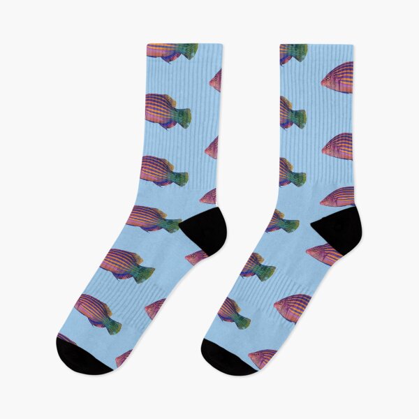 Item preview, Six-Line Wrasse Color Design  designed and sold by designsasstultd.
