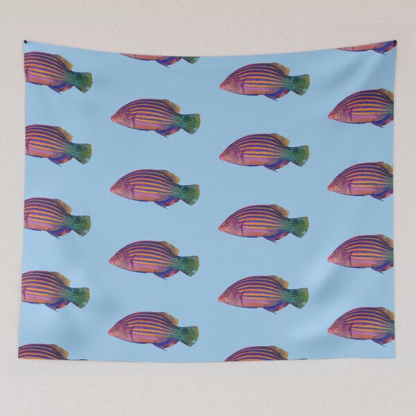 Item preview, Six-Line Wrasse Color Design  designed and sold by designsasstultd.