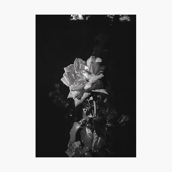 Vista previa del artículo con la obra «Romántico | Blanco y negro», diseñado y vendido por Laurenrfphoto.