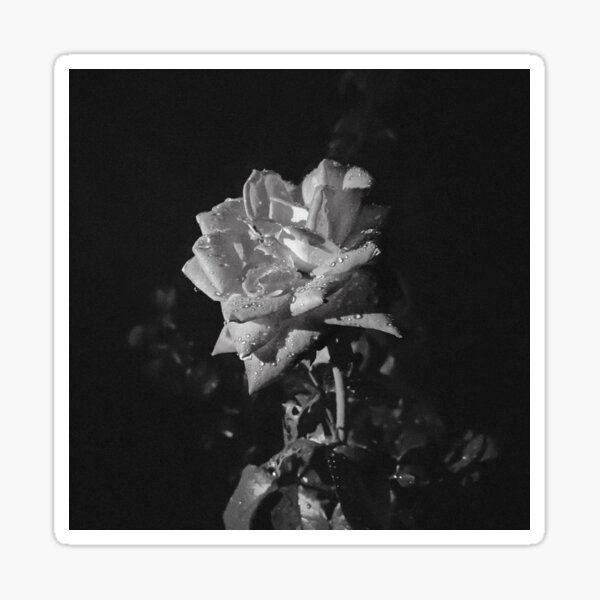 Item preview, Romantic | Black & White designed and sold by Laurenrfphoto.
