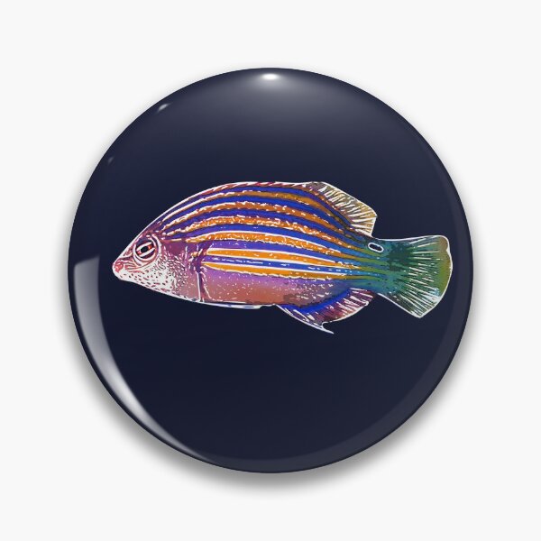 Item preview, Six-Line Wrasse White Alternate Design  designed and sold by designsasstultd.