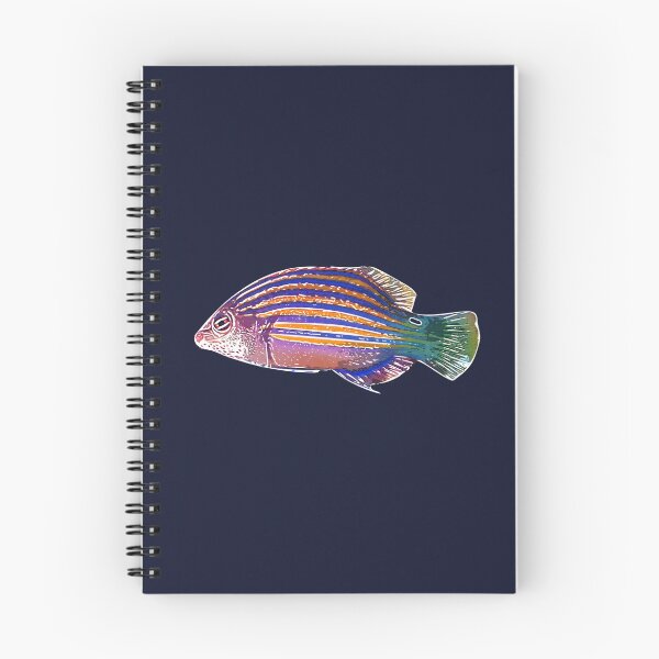 Item preview, Six-Line Wrasse White Alternate Design  designed and sold by designsasstultd.