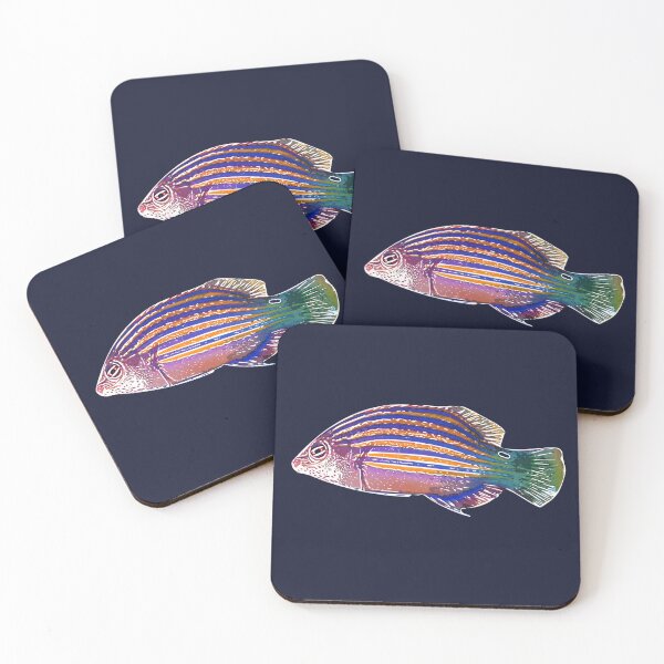 Item preview, Six-Line Wrasse White Alternate Design  designed and sold by designsasstultd.