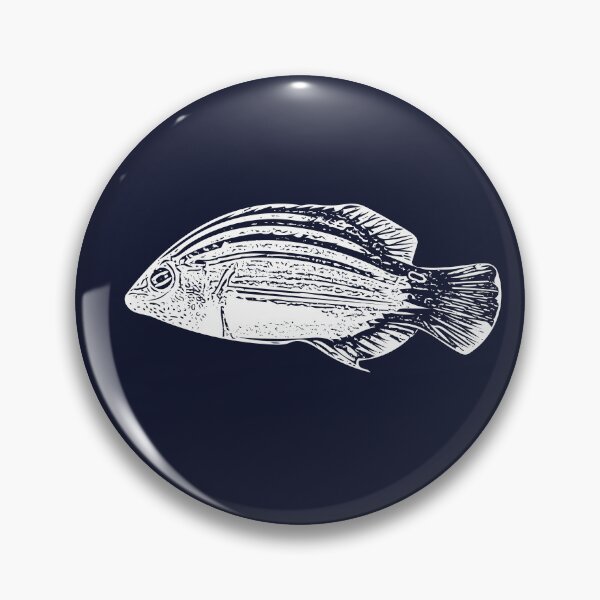 Item preview, Six-Line Wrasse White Design  designed and sold by designsasstultd.