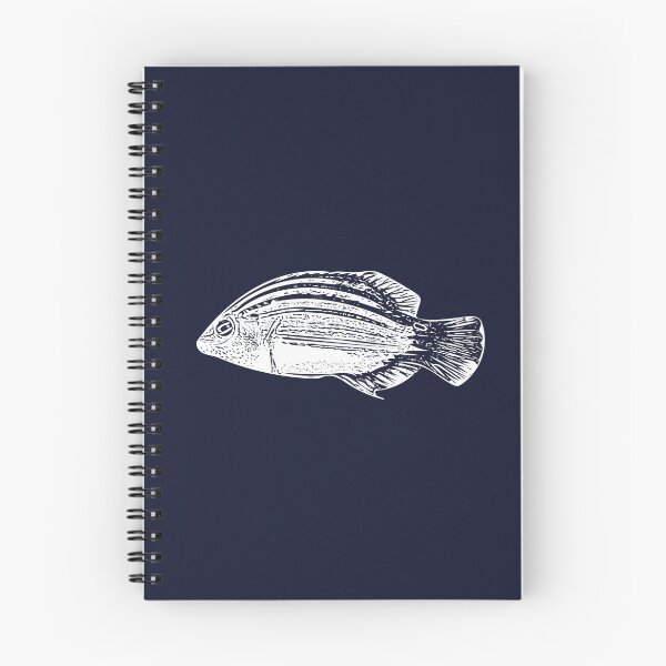 Item preview, Six-Line Wrasse White Design  designed and sold by designsasstultd.