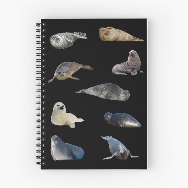 Item preview, Seal (black) designed and sold by Marine Wonders.