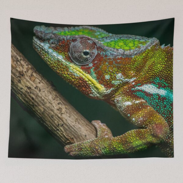 Item preview, Chameleon designed and sold by axp7884.