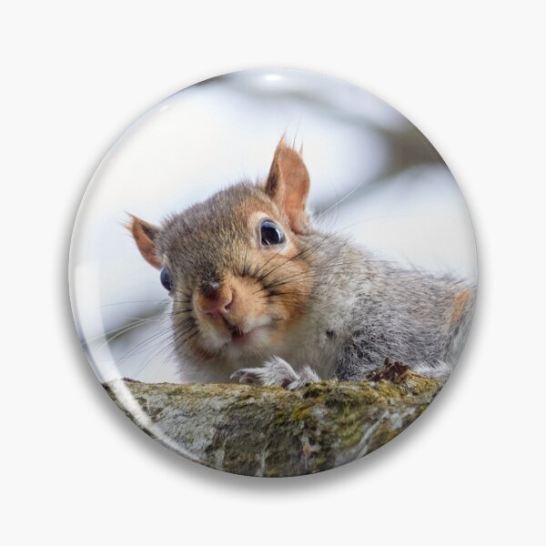 Item preview, The Curious Squirrel on the Branch designed and sold by couragesings.