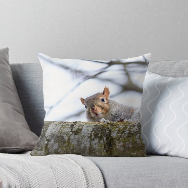 Item preview, The Curious Squirrel on the Branch designed and sold by couragesings.
