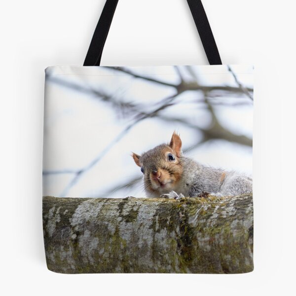 Item preview, The Curious Squirrel on the Branch designed and sold by couragesings.