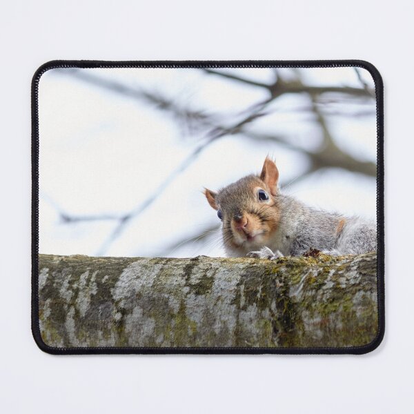 Item preview, The Curious Squirrel on the Branch designed and sold by couragesings.