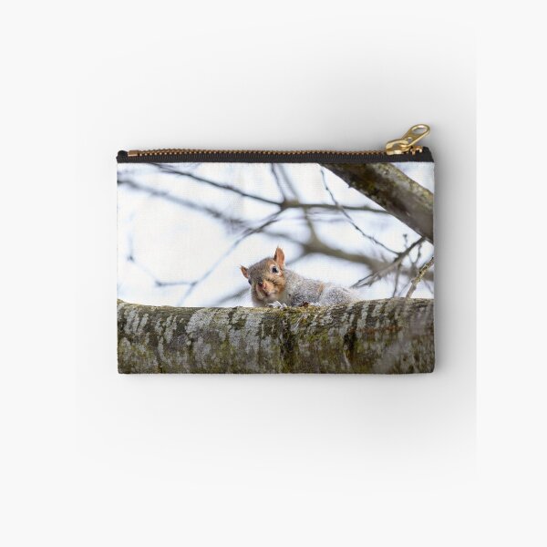 Item preview, The Curious Squirrel on the Branch designed and sold by couragesings.