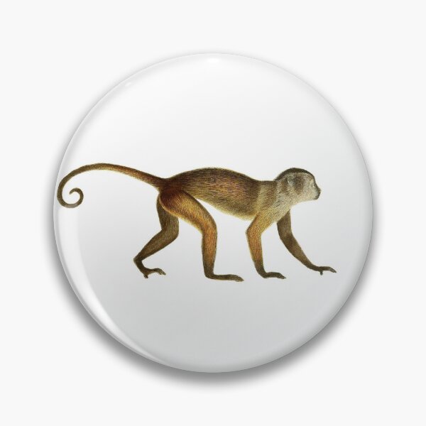 Item preview, Monkey - Die Säugthiere in Abbildungen nach der Natur  1774 designed and sold by botanicalworks.