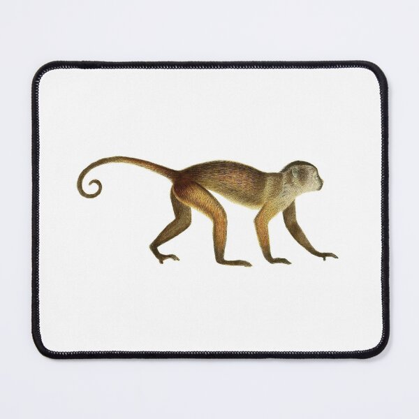 Item preview, Monkey - Die Säugthiere in Abbildungen nach der Natur 1774 designed and sold by botanicalworks.