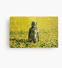 Stranded in the sunflower field Metal Print