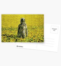 Gestrandet im Sonnenblumenfeld Postkarten