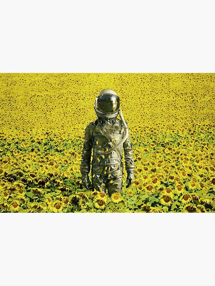 Stranded in the sunflower field by seamless