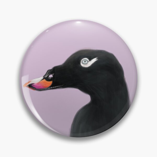 Item preview, White-winged Scoter designed and sold by Wildlife Art by Holly.