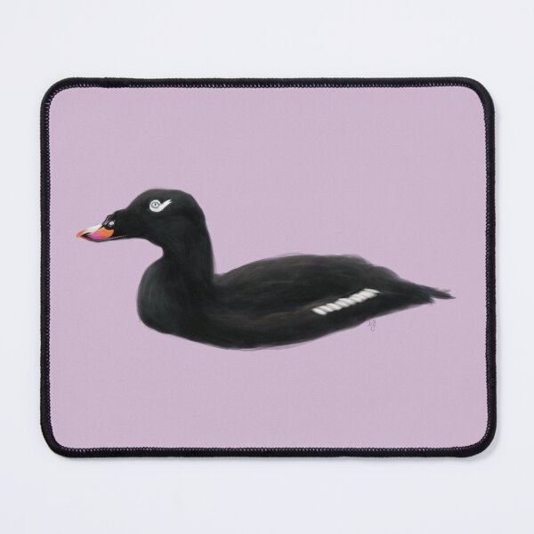 Item preview, White-winged Scoter designed and sold by Wildlife Art by Holly.