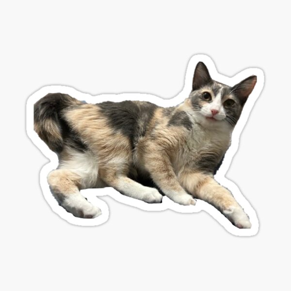 Aperçu de l'œuvre Pose normale créée et vendue par Oreoeocat.