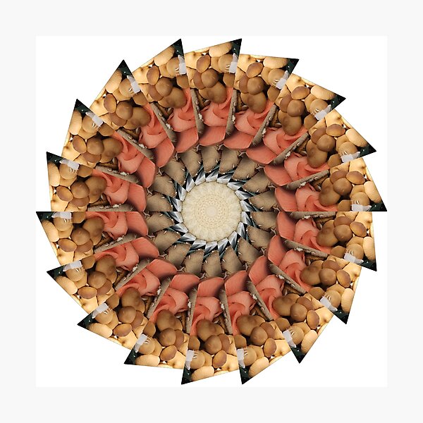 Item preview, Bend Farmers Market Mushrooms KaleidoBioscope 13 designed and sold by Kaleidobioscope.