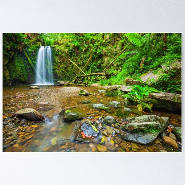 Item preview, Mariners Falls, Otways National Park, Australia designed and sold by Michael Boniwell.