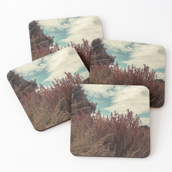 Item preview, Beach Plants. designed and sold by Kate4721.