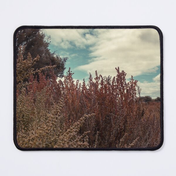 Item preview, Beach Plants. designed and sold by Kate4721.